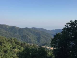Vista