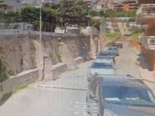 Zona
