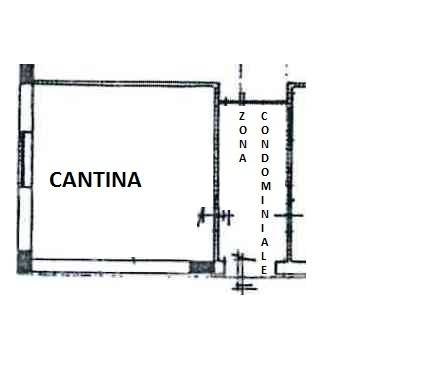 PIANTA CANTINA