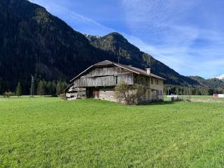 Foto - Vendita casa, giardino, Mazzin, Dolomiti Trentine