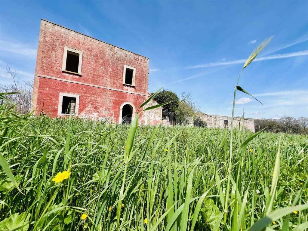 Vendita Gioia del Colle Castelletti Re