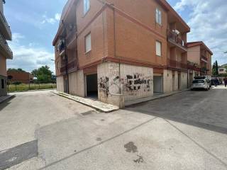 Zona