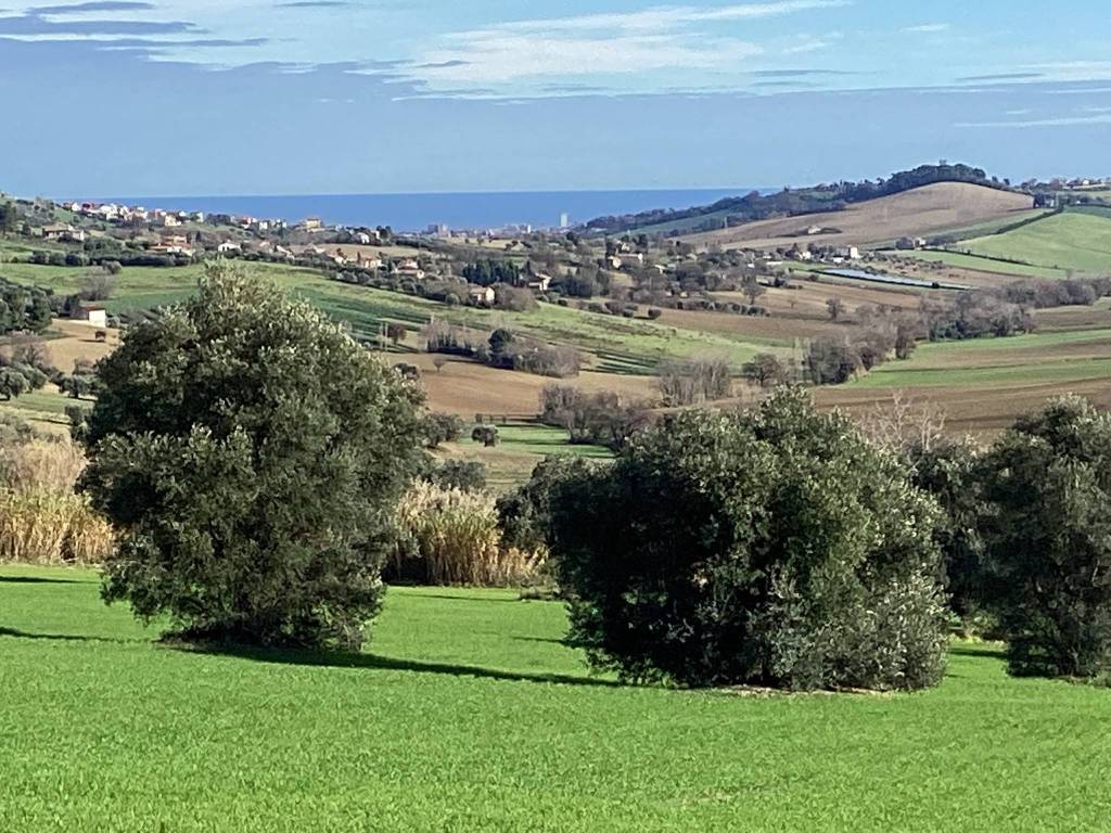 Terreno agricolo viale nazario sauro, centro, recanati