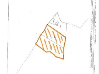 Planimetria