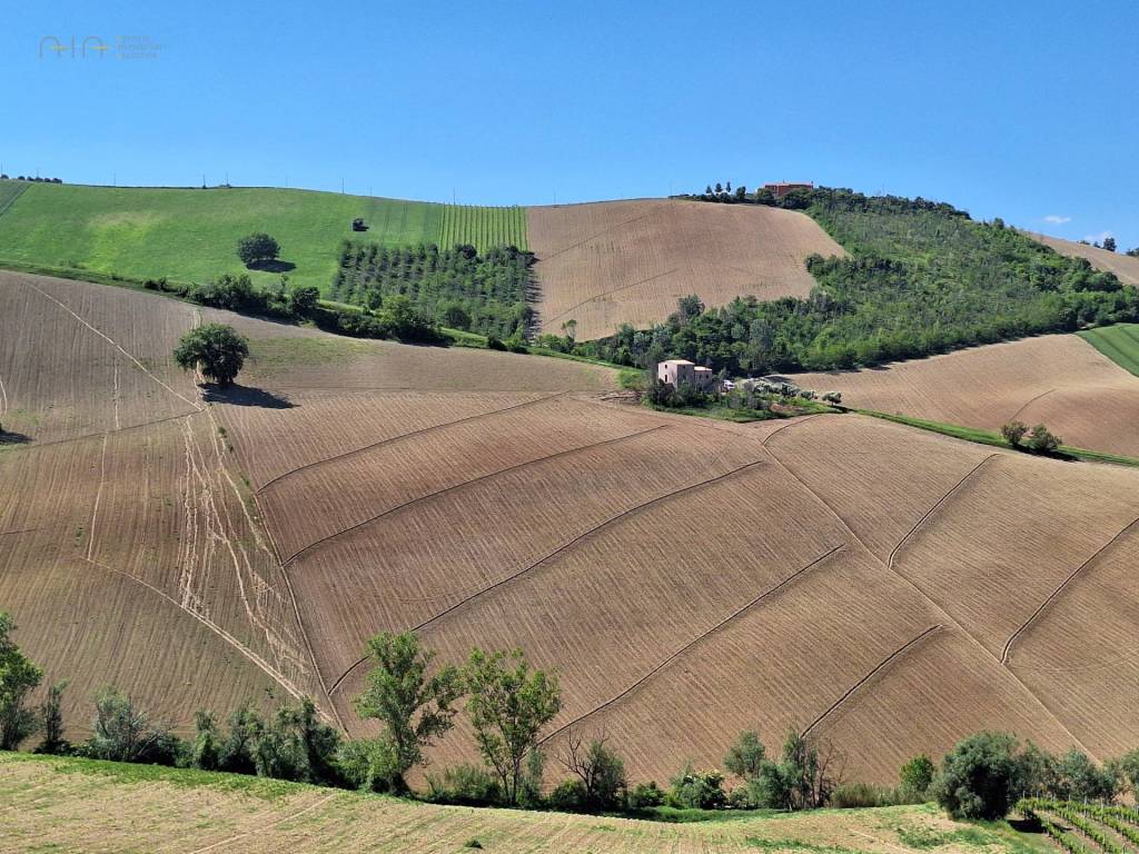 Terreno agricolo c.da tosciano, ripatransone