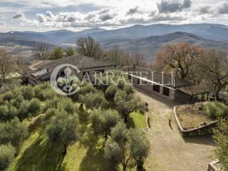 Azienda agricola con riserva di caccia a Siena