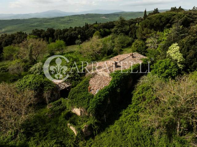 Casale nel bosco da ristrutturare Sovicille Siena