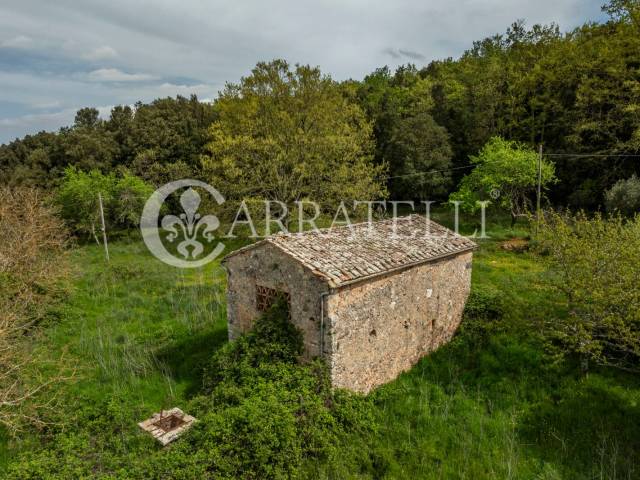 Casale da ristrutturare a Sovicille Siena