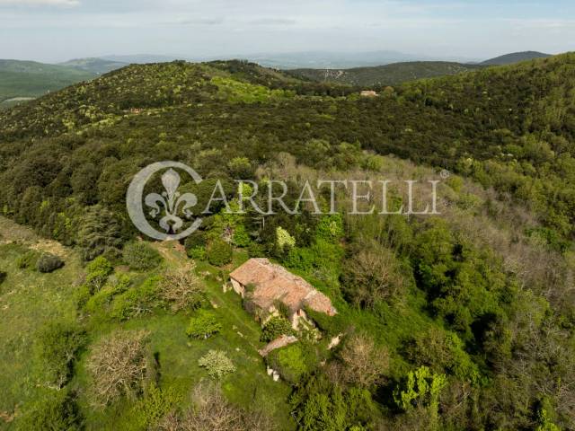 Casale nel bosco da ristrutturare Sovicille Siena