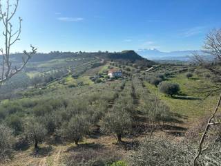 Vista