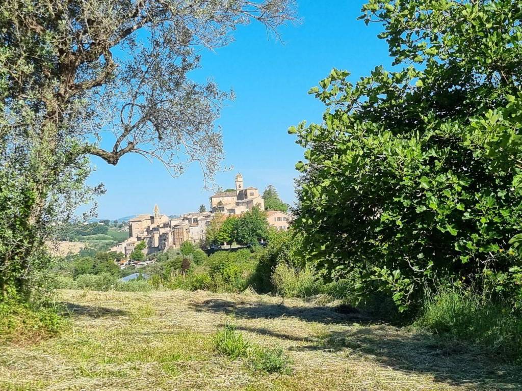 Terreno edificabile via monteottonese sud, montottone