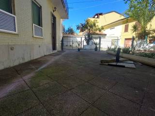 Zona