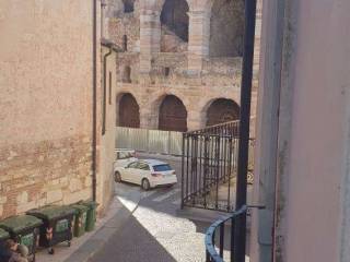 Zona