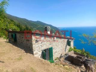 Foto - Vendita villa ottimo stato, Cinque Terre, Riomaggiore