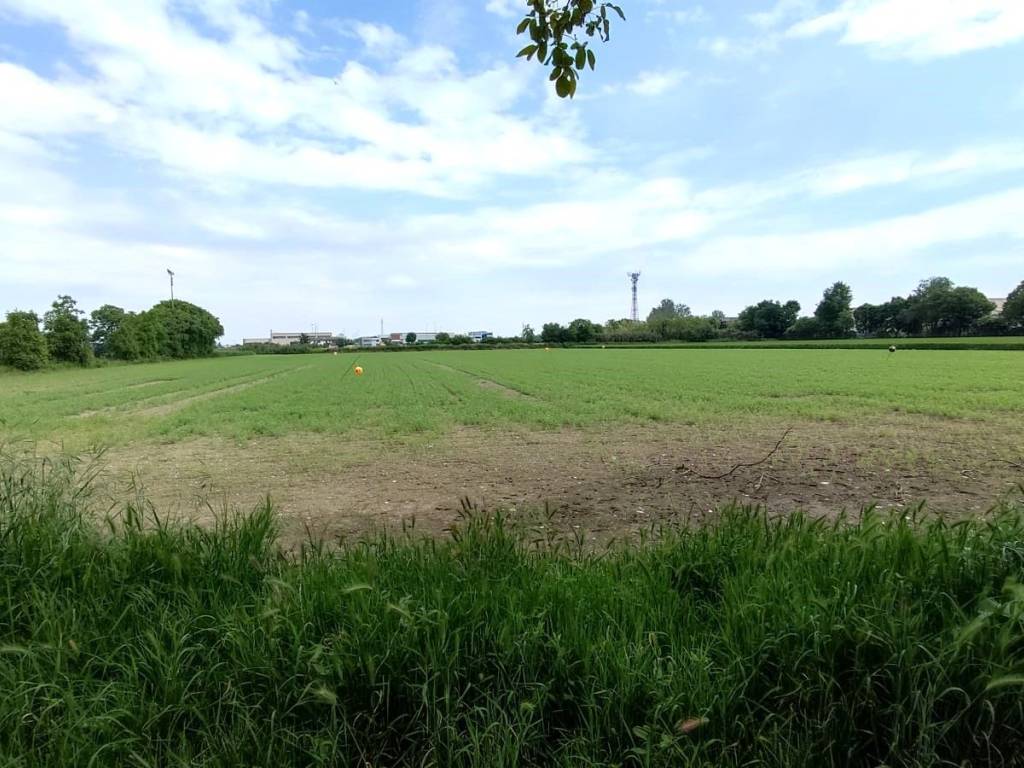 Terreno edificabile strada dei prati nuovi, rondo carducci, medassino, voghera