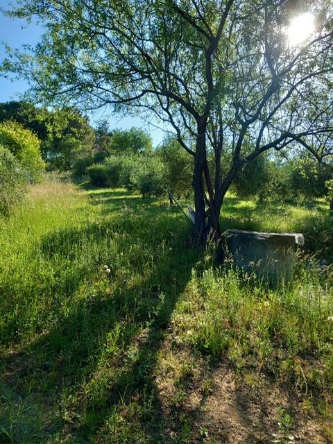 Terreno agricolo strada della campanara, torraccia - tre ponti, pesaro