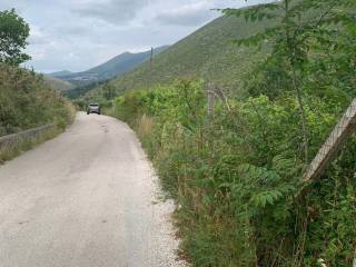 Zona