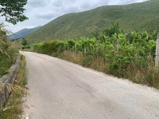 Zona