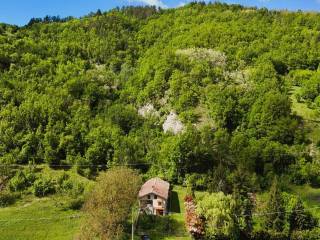 BOSCHI DI PROPRIETA'