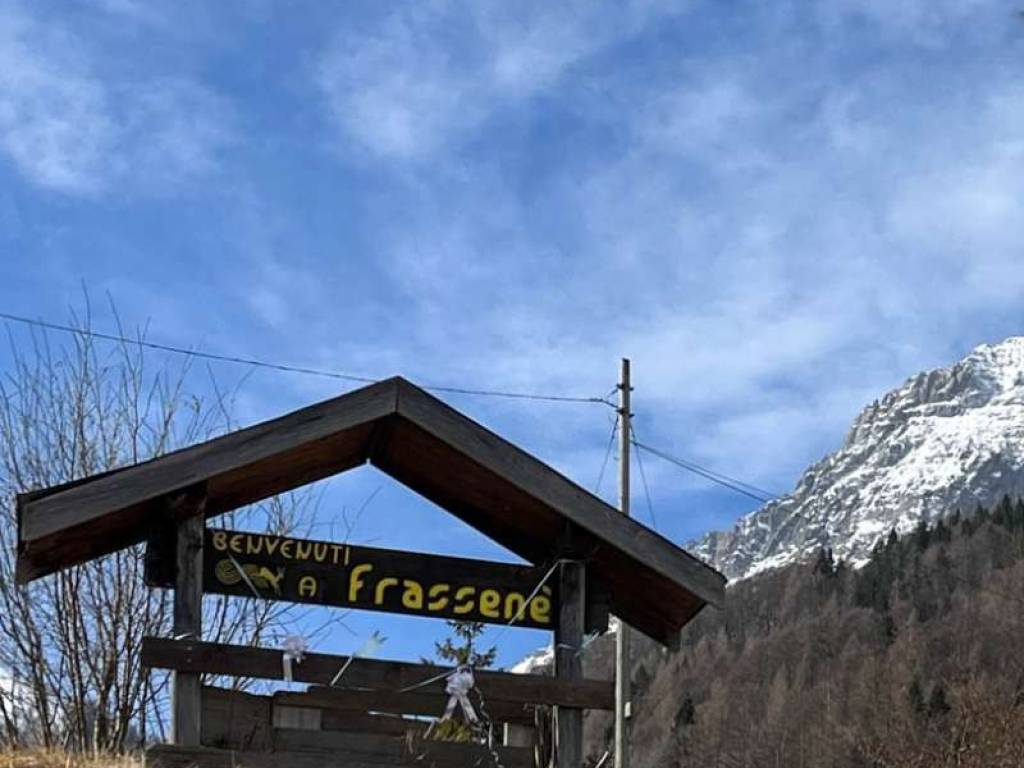 frassenè