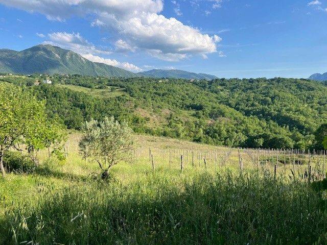 Terreno agricolo contrada trasale 6, nusco