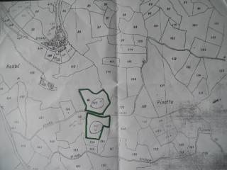DSCN1658.jpg
