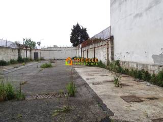 Zona
