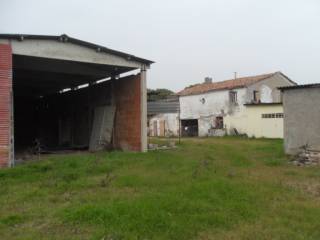 SDC11207.JPG