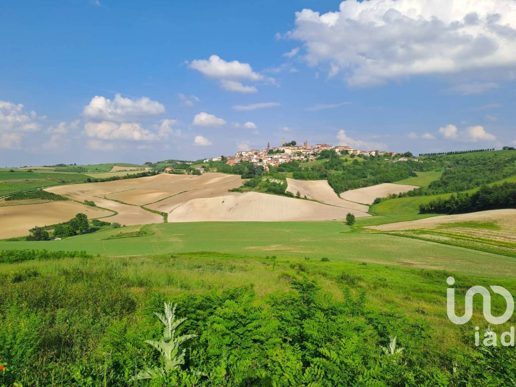 vista del terreno su Lu Monferrato