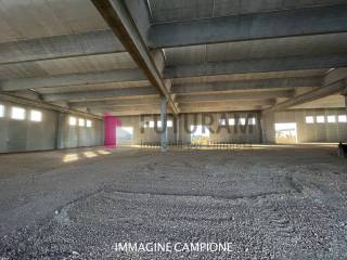 immangine campione 2