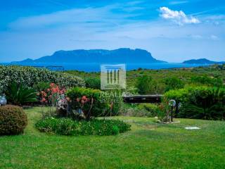 Foto - Vendita villa con giardino, Golfo Aranci, Gallura