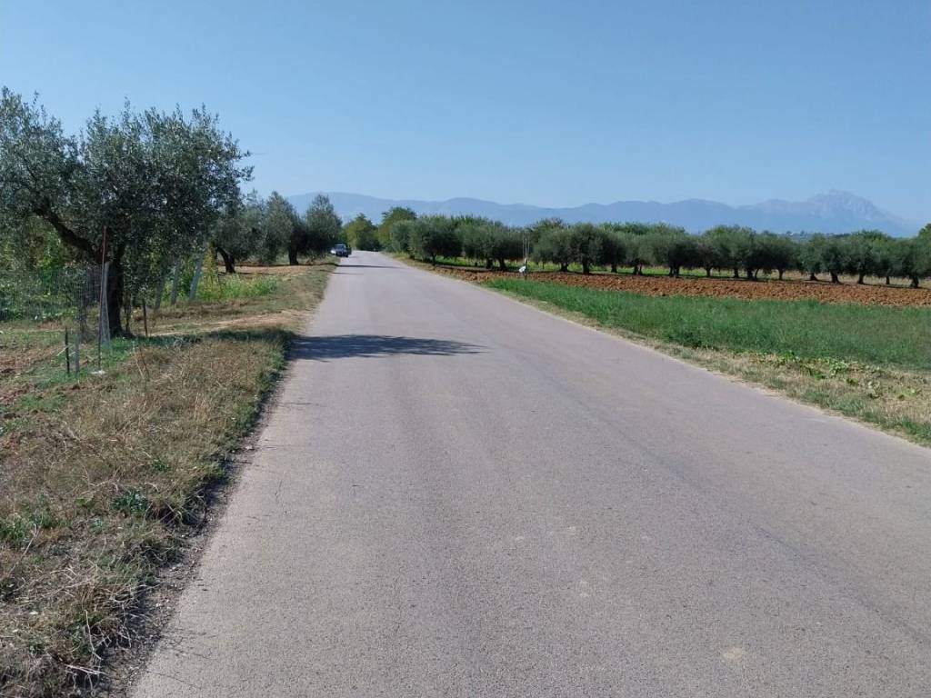 Terreno agricolo santa lucia, collecorvino