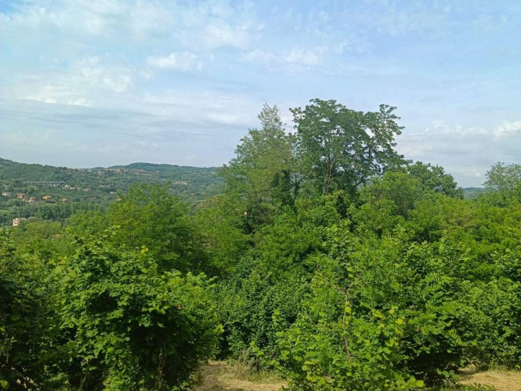 Terreno agricolo contrada castello, atripalda