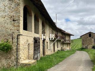 Zona