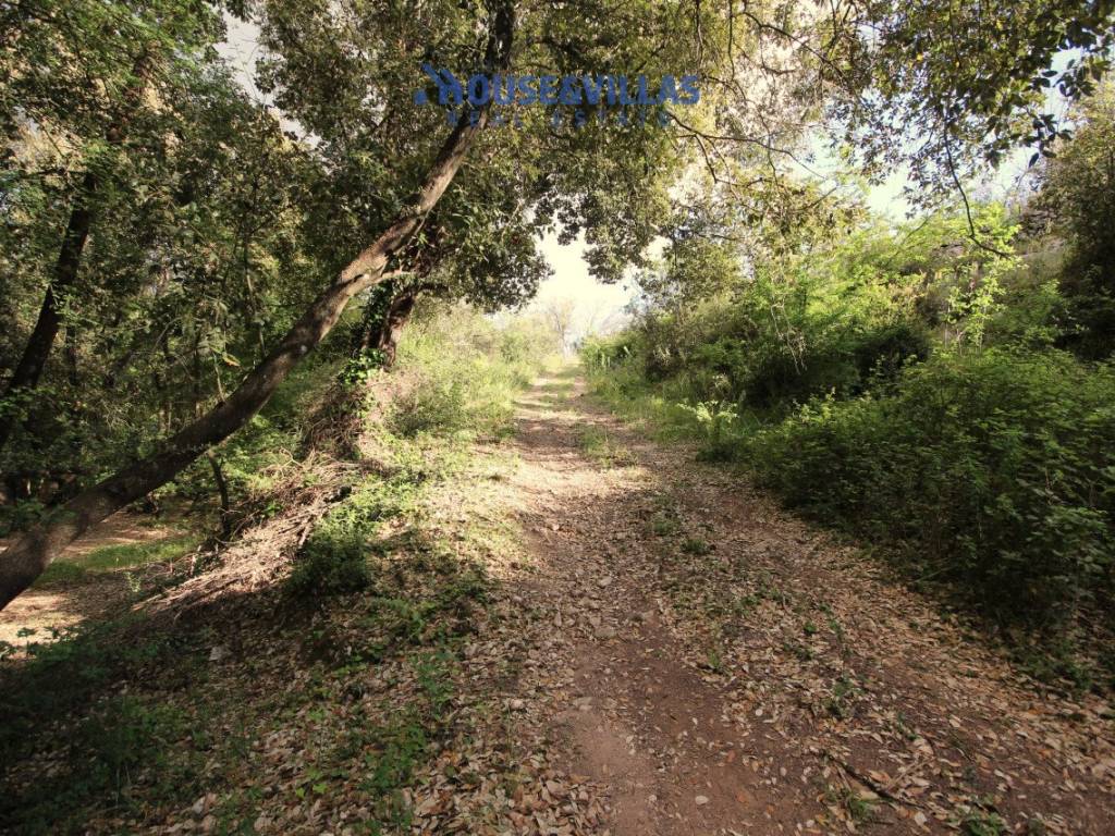 proprieta attraversata dal fiume a noto 20