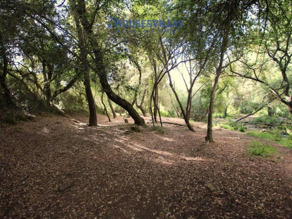 proprieta attraversata dal fiume a noto 12