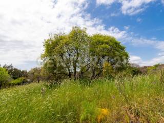 Terreno Viagrande (12).jpg