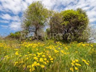 Terreno Viagrande (17).jpg