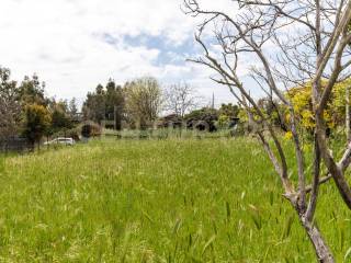 Terreno Viagrande (19).jpg