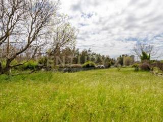 Terreno Viagrande (24).jpg