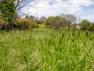 Terreno Viagrande (25).jpg