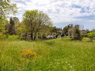 Terreno Viagrande (28).jpg