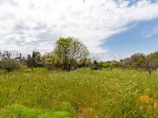 Terreno Viagrande (30).jpg