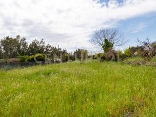 Terreno Viagrande (32).jpg