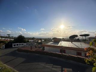 Vista