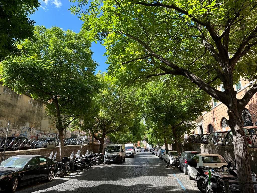 Vendita Appartamento Roma. Bilocale in via Giuseppe Garibaldi. Ottimo ...