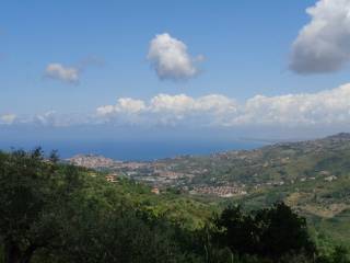 Vista