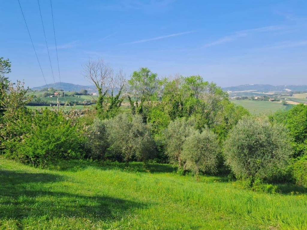 Terreno agricolo località bevano, fenile - carignano, fano