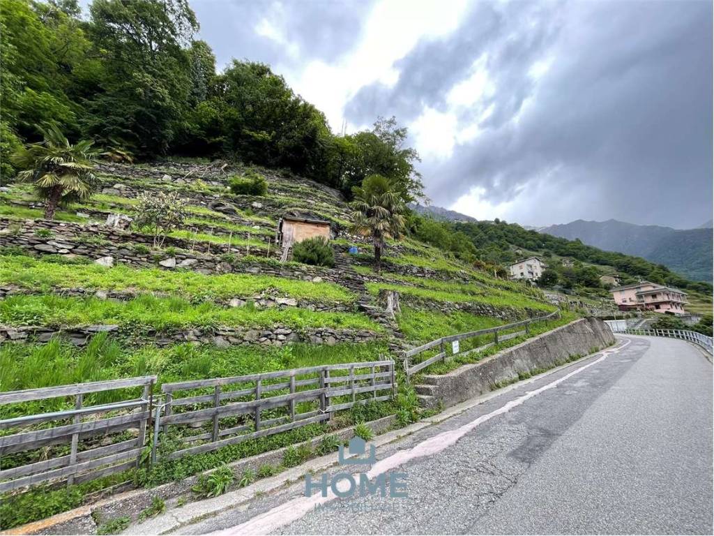 Terreno agricolo pianazzola, chiavenna