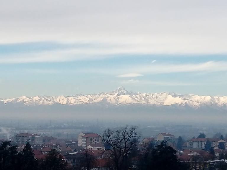 Vista